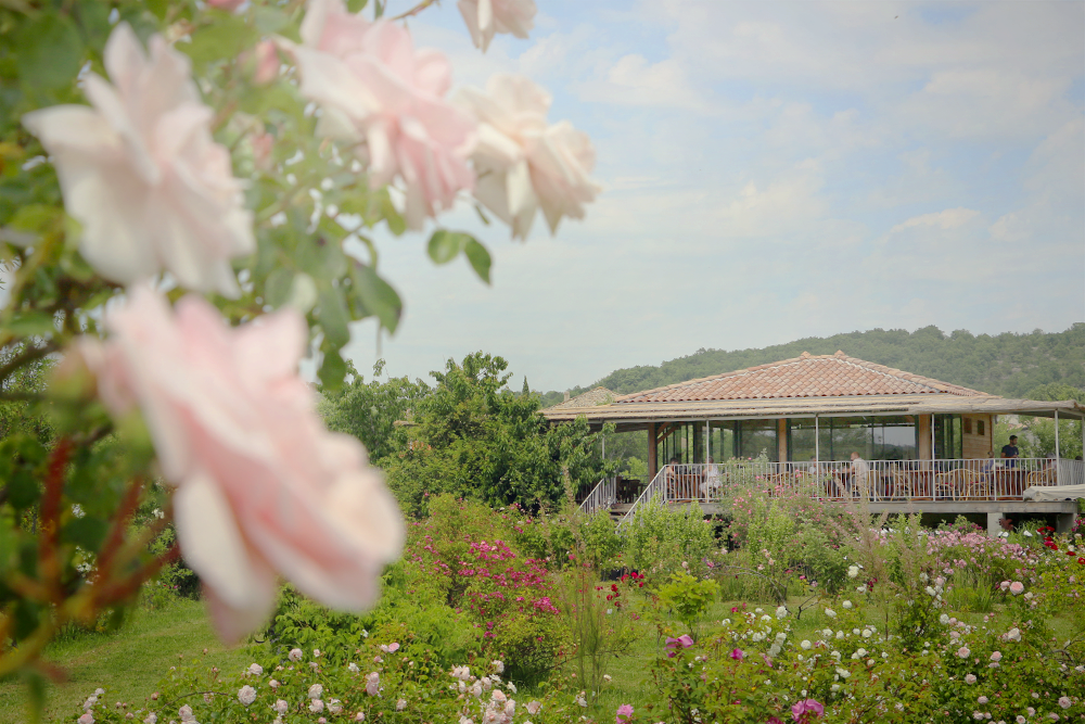 Foire aux plantes Ruoms